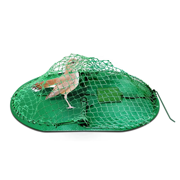 Bird Trap